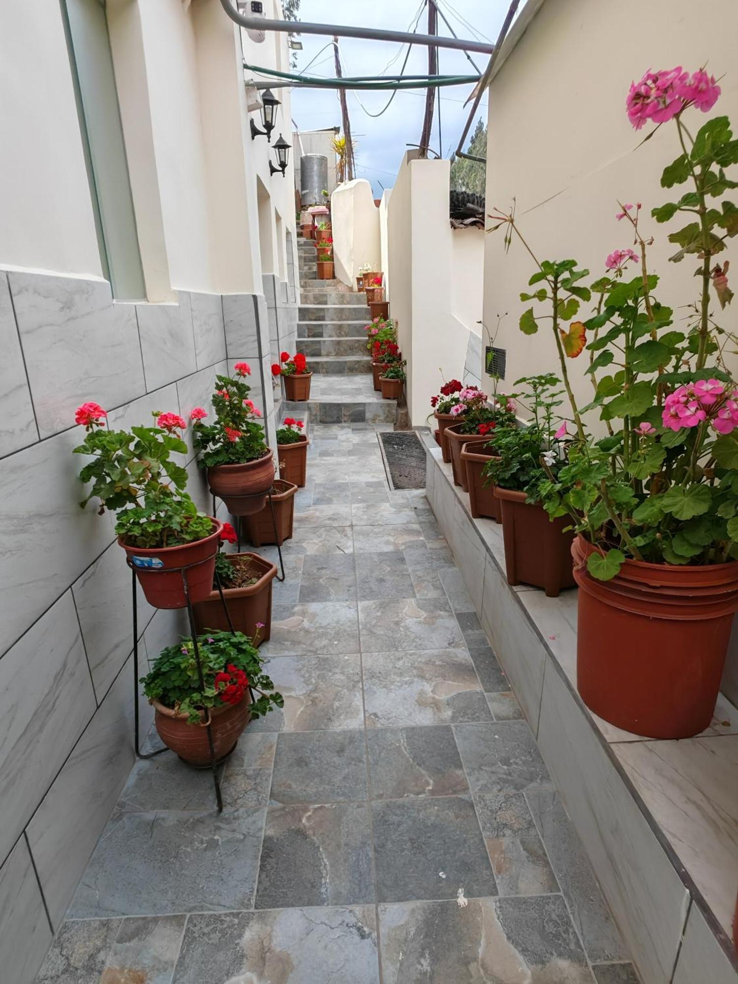 Centro Cusco Inti Apartment Cameră foto